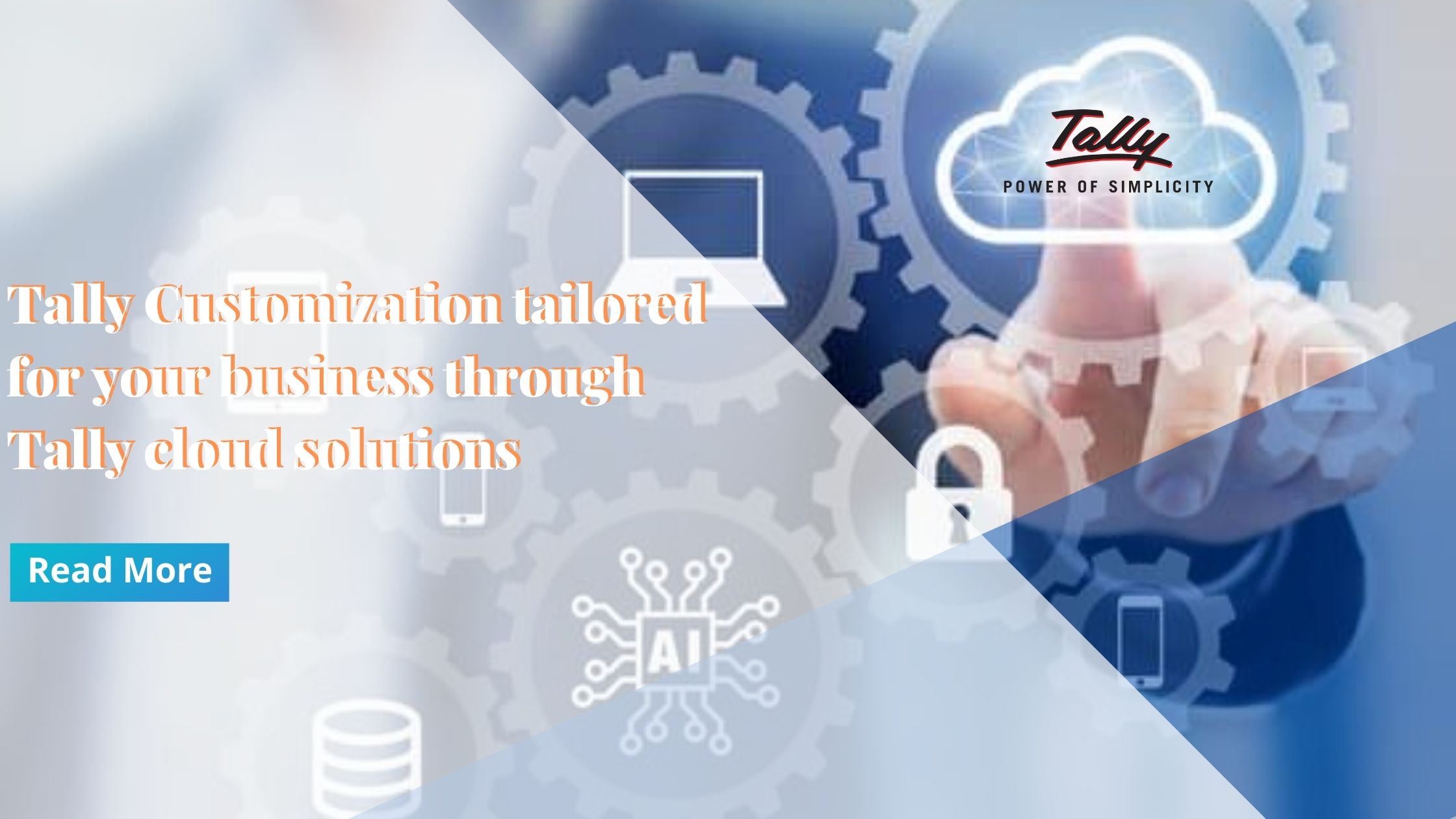 Tally Customization on cloud