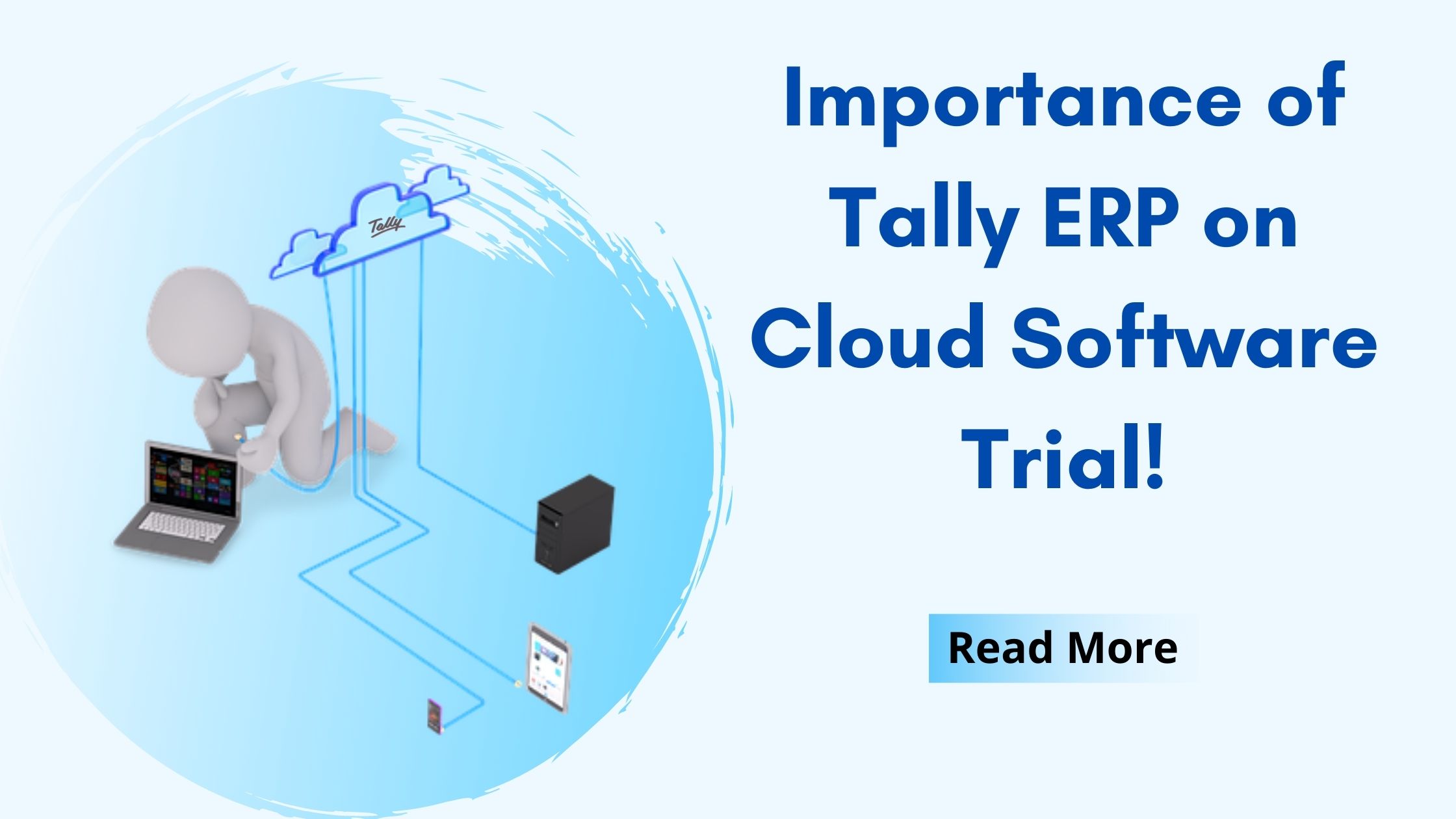 Tally on cloud demo importance