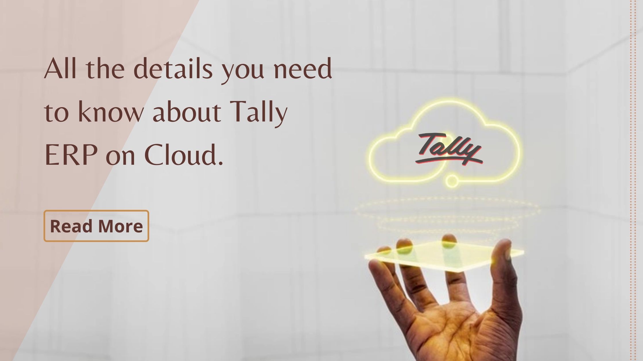 Tally erp on cloud details